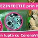 Eco DDD Grindasi - deratizare, dezinsectie si dezinfectie